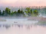 Misty Otter Creek At Sunrise_DSCF02428